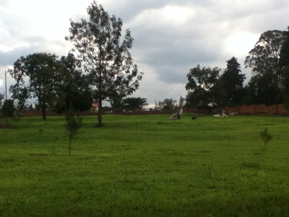 This image has an empty alt attribute; its file name is img_0199.jpg