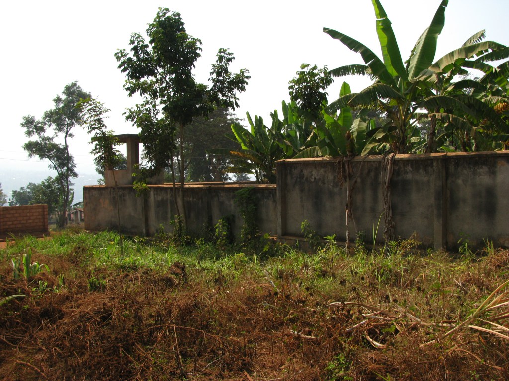 This image has an empty alt attribute; its file name is img_3379-1.jpg